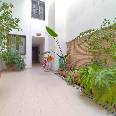 Apartment Alfaqueque *